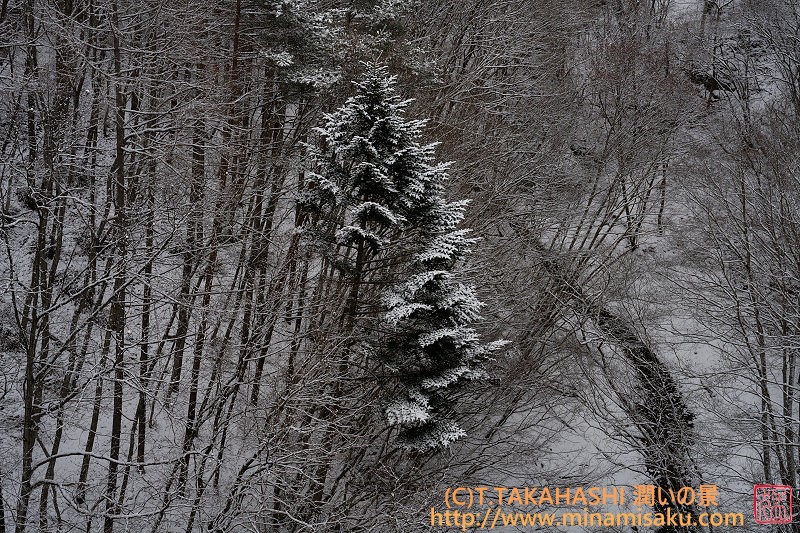 ../Images/7R250202 (43).jpg